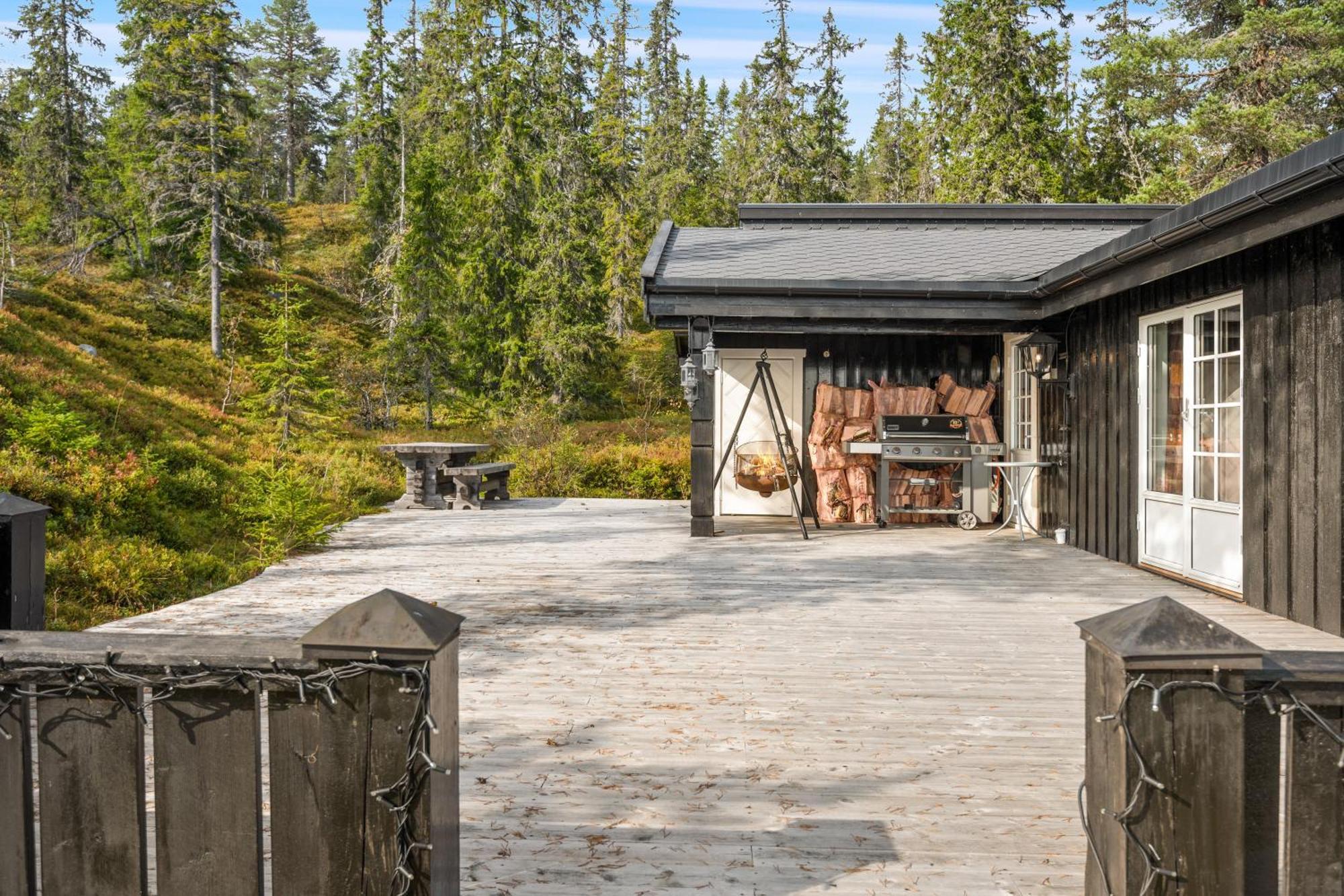 Trysilfjellet